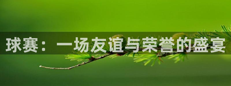 风速体育app下载官网最新版
